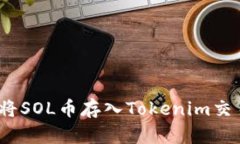 : 如何将SOL币存入Tokenim交