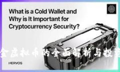 本体金虚拟币的全面解析