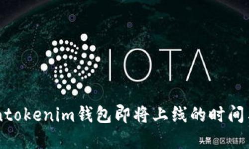 了解Tokentokenim钱包即将上线的时间与相关信息