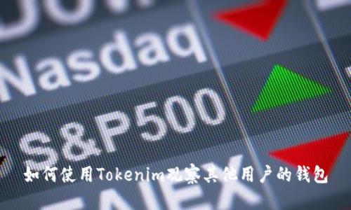 如何使用Tokenim观察其他用户的钱包