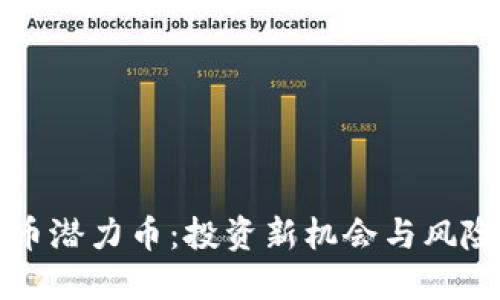 虚拟币潜力币：投资新机会与风险评估