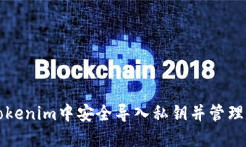 如何在Tokenim中安全导入私钥并管理数字资产