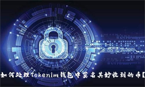 如何处理Tokenim钱包中莫名其妙收到的币？