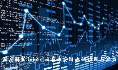 深度解析Tokenim在币安链上的应用与潜力