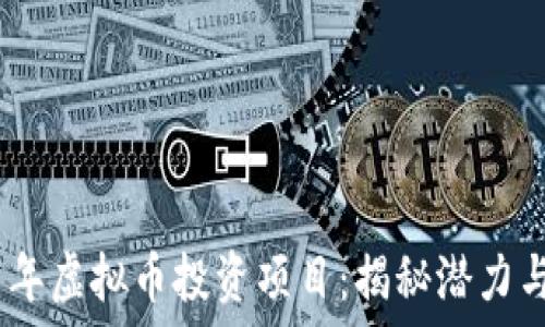   
2017年虚拟币投资项目：揭秘潜力与风险