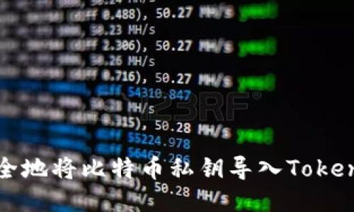 如何安全地将比特币私钥导入Tokenim钱包