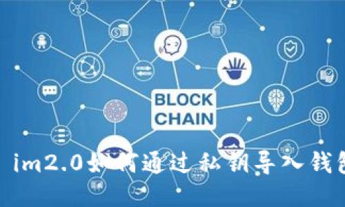 : im2.0如何通过私钥导入钱包