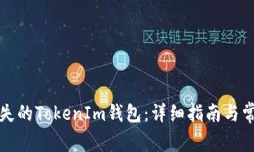 如何找回丢失的TokenIm钱包：详细指南与常见问题解答