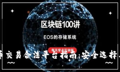 国内虚拟币交易合法平台指南：安全选择与市场分析