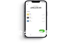 虚拟币丽丽：投资前需要了解的关键要素与风险