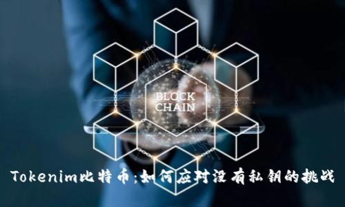 Tokenim比特币：如何应对没有私钥的挑战