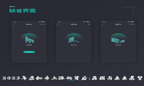 2023年虚拟币上涨的背后：原因与未来展望
