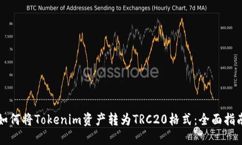 如何将Tokenim资产转为TRC20格式：全面指南