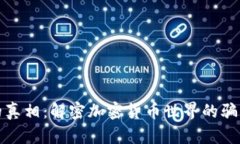 虚拟币的真相：解密加密货币世界的骗局与机遇