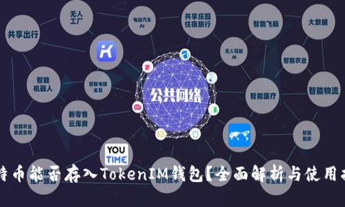 莱特币能否存入TokenIM钱包？全面解析与使用指南