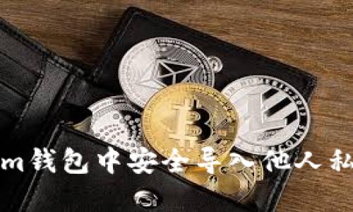 如何在Tokenim钱包中安全导入他人私钥的详细指南