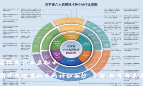 荔枝是什么虚拟币

揭开荔枝虚拟币的神秘面纱：了解、投资与未来