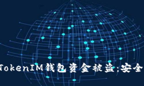 如何防止TokenTokenIM钱包资金被盗：安全指南与应对措施